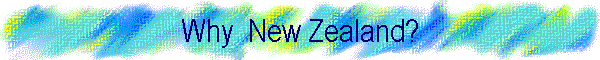 Why  New Zealand?