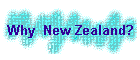 Why  New Zealand?